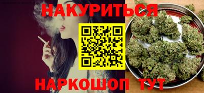 СК Бийск