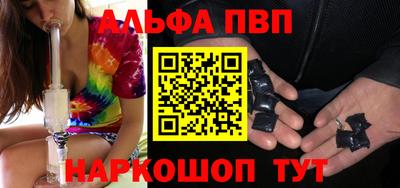 СК Бийск
