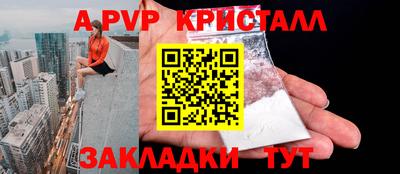 СК Бийск