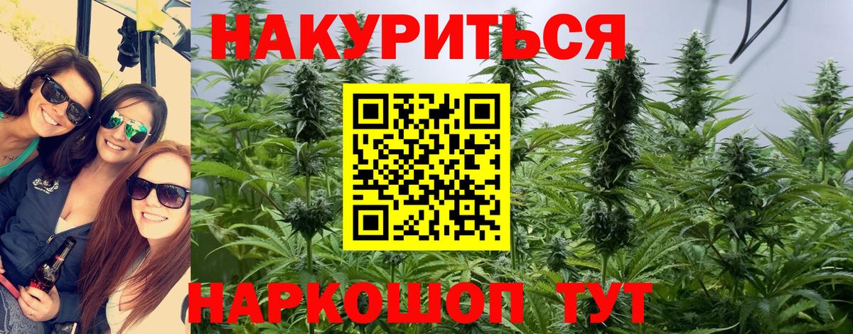 Каннабис планчик Зеленокумск